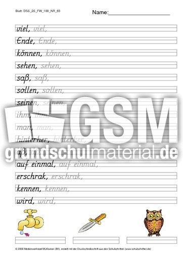 DSS_2S_FW_100_NR_63.pdf